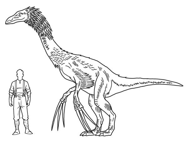 Иллюстрация к книге — Загадка города-призрака [i_078.jpg]