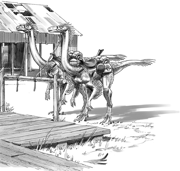 Иллюстрация к книге — Секрет рапторов [_034.jpg]