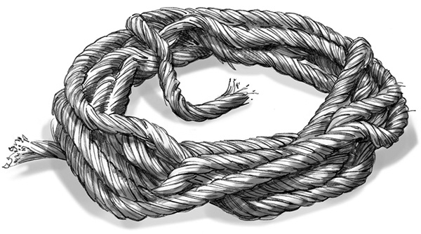 Иллюстрация к книге — Секрет рапторов [_037.jpg]