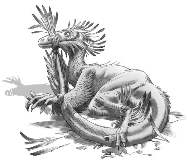 Иллюстрация к книге — Секрет рапторов [_039.jpg]