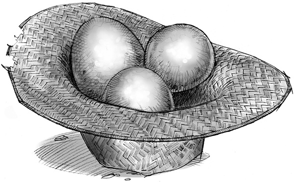 Иллюстрация к книге — Секрет рапторов [_083.jpg]