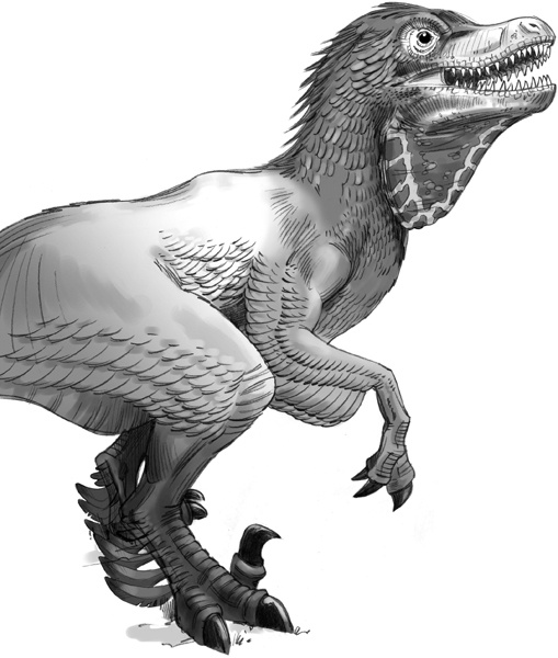 Иллюстрация к книге — Секрет рапторов [_096.jpg]