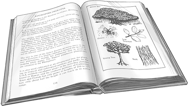 Иллюстрация к книге — Секрет рапторов [_113.jpg]