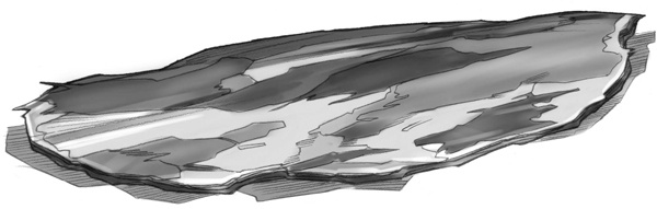 Иллюстрация к книге — Секрет рапторов [_114.jpg]