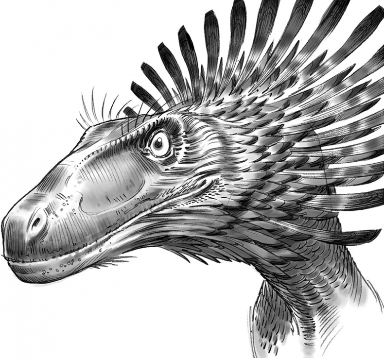 Иллюстрация к книге — Секрет рапторов [_123124.jpg]