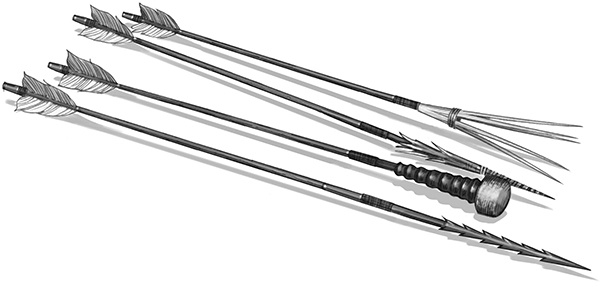 Иллюстрация к книге — Секрет рапторов [_167.jpg]