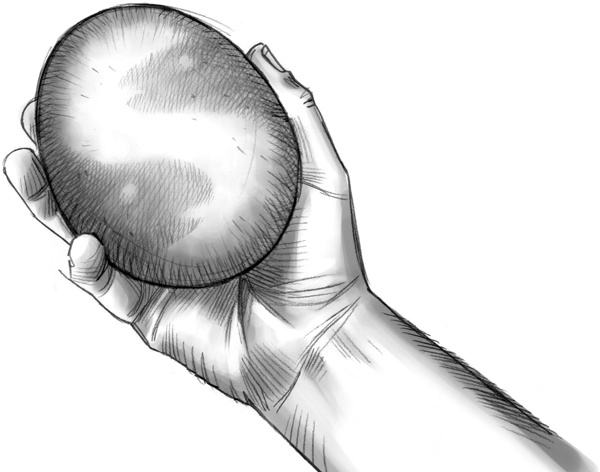 Иллюстрация к книге — Секрет рапторов [_177.jpg]