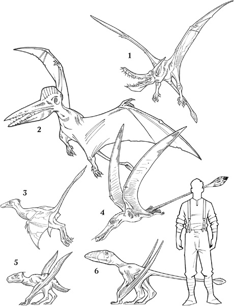 Иллюстрация к книге — Секрет рапторов [_342.jpg]