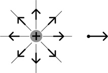 Иллюстрация к книге — Почему мы существуем? Величайшая из когда-либо рассказанных историй [i_011.jpg]