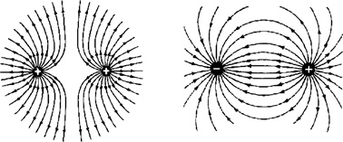 Иллюстрация к книге — Почему мы существуем? Величайшая из когда-либо рассказанных историй [i_012.jpg]