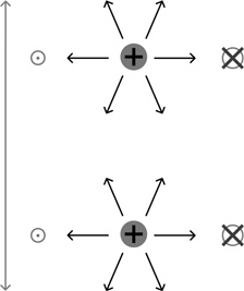Иллюстрация к книге — Почему мы существуем? Величайшая из когда-либо рассказанных историй [i_014.jpg]