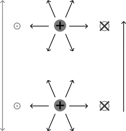 Иллюстрация к книге — Почему мы существуем? Величайшая из когда-либо рассказанных историй [i_015.jpg]