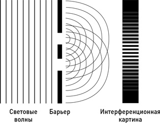Иллюстрация к книге — Почему мы существуем? Величайшая из когда-либо рассказанных историй [i_038.jpg]