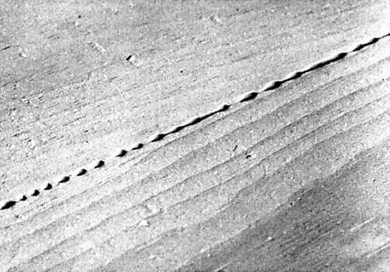 Иллюстрация к книге — Работы по дереву. Мебель для дома своими руками [i_057.jpg]