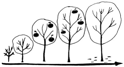 Иллюстрация к книге — Сам себе финансист. Как тратить с умом и копить правильно [image6.jpg]