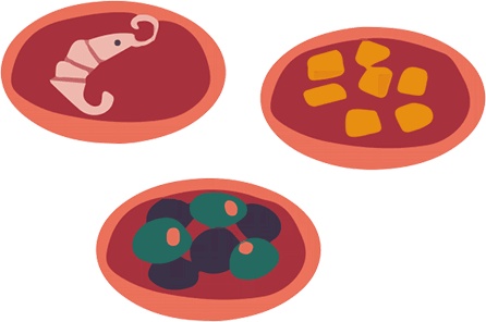 Иллюстрация к книге — Атлас счастья. Уникальные рецепты счастья со всего света [i_139.jpg]