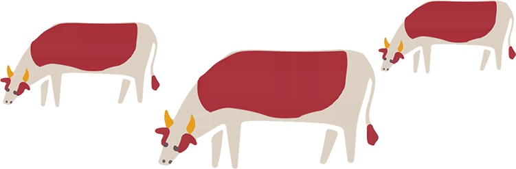 Иллюстрация к книге — Атлас счастья. Уникальные рецепты счастья со всего света [i_154.jpg]