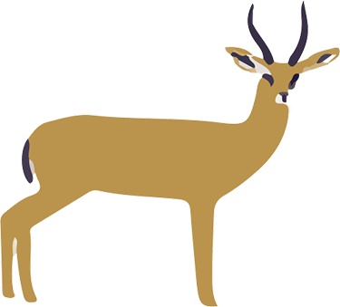 Иллюстрация к книге — Атлас счастья. Уникальные рецепты счастья со всего света [i_157.jpg]