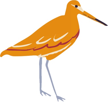 Иллюстрация к книге — Атлас счастья. Уникальные рецепты счастья со всего света [i_173.jpg]