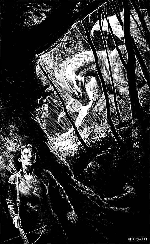 Иллюстрация к книге — Летний дракон. Первая книга Вечнолива [i_006.jpg]