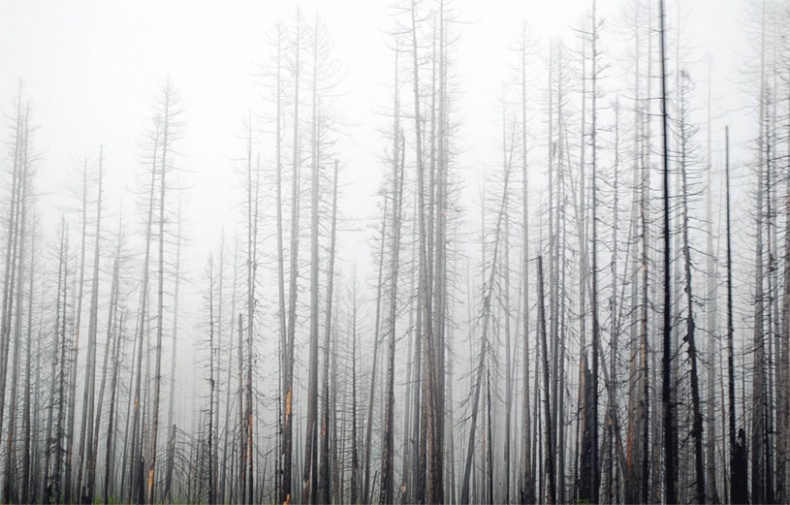 Иллюстрация к книге — Гуру пьет бурбон? [i_031.jpg]