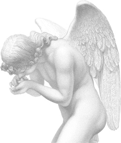 Иллюстрация к книге — Наиболее распространенные заблуждения и безумства толпы [i_006.jpg]