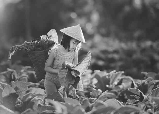 Иллюстрация к книге — Незримая битва сверхдержав [i_083.jpg]