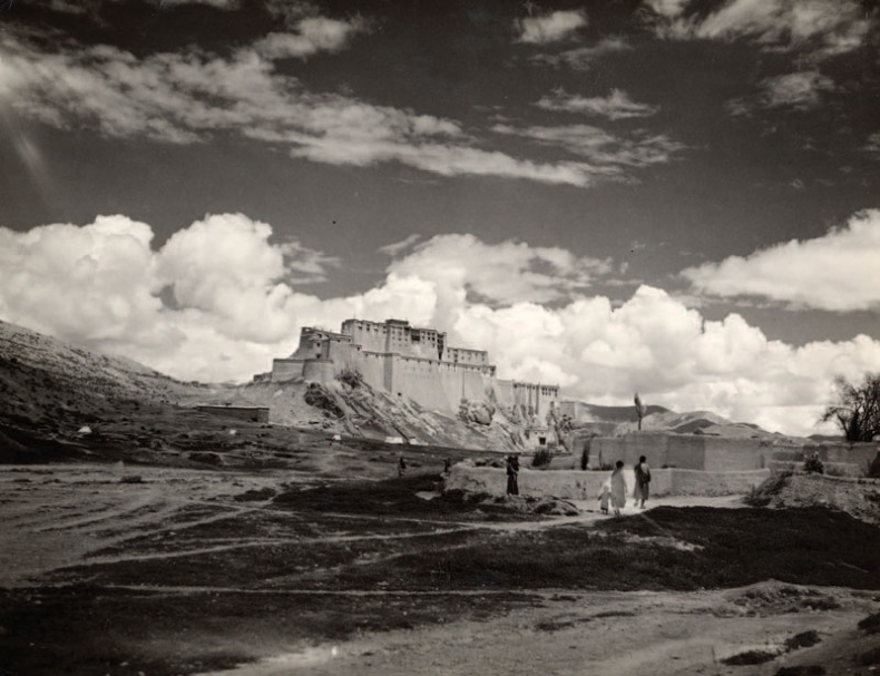 Иллюстрация к книге — Золотой лебедь в бурных водах. Необыкновенная жизнь Десятого Кармапы [i_006.jpg]