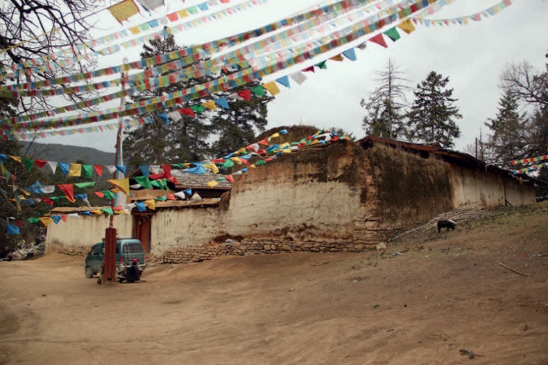 Иллюстрация к книге — Золотой лебедь в бурных водах. Необыкновенная жизнь Десятого Кармапы [i_027.jpg]