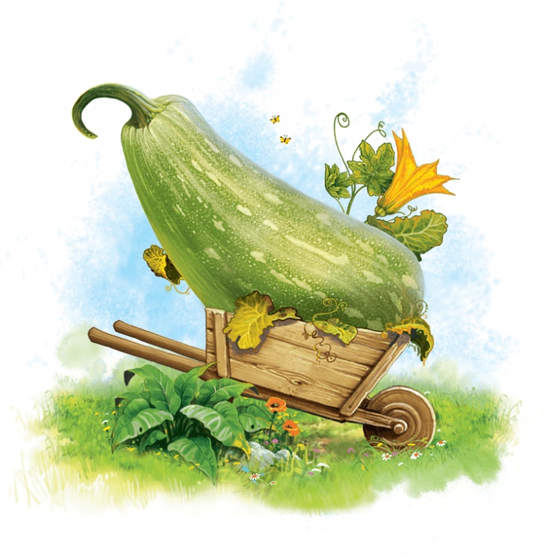 Иллюстрация к книге — Дорога из мармелада [i_007.jpg]