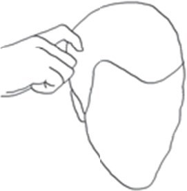 Иллюстрация к книге — 100 способов казаться умнее, чем на самом деле [i_150.jpg]