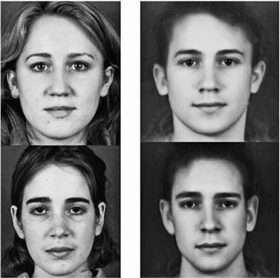 Иллюстрация к книге — Любовь и секс. Как мы ими занимаемся. Прямой репортаж из научных лабораторий, изучающих человеческую сексуальность [i_005.jpg]