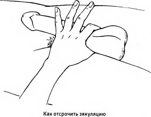 Иллюстрация к книге — Любовь и секс. Как мы ими занимаемся. Прямой репортаж из научных лабораторий, изучающих человеческую сексуальность [i_017.jpg]