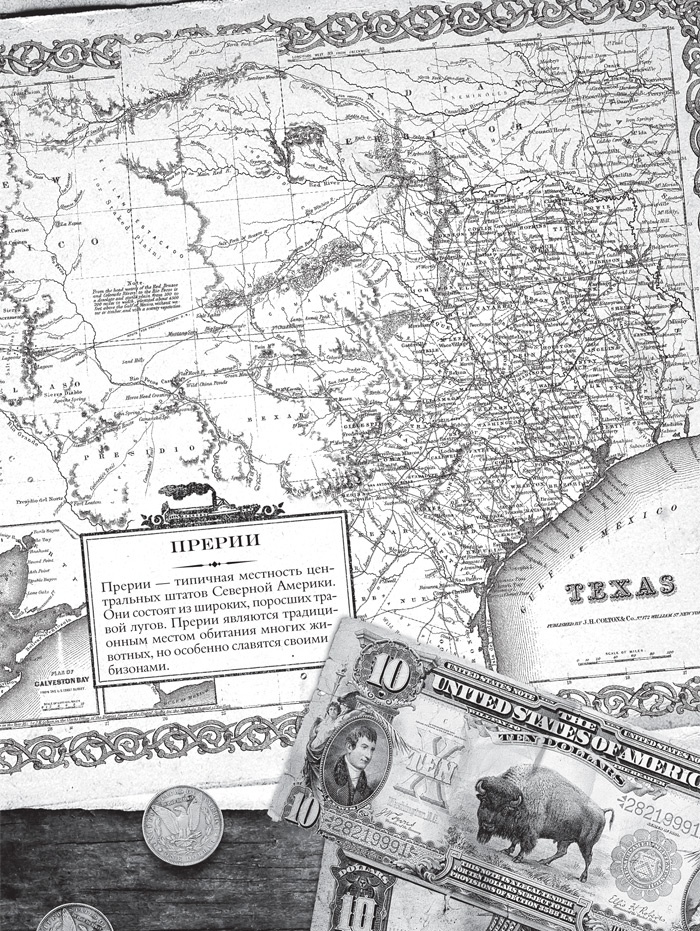 Иллюстрация к книге — Знаменитый Каталог «Уокер&amp;Даун» [i_032.jpg]