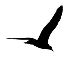 Иллюстрация к книге — Скажи, что будешь помнить [i_001.jpg]