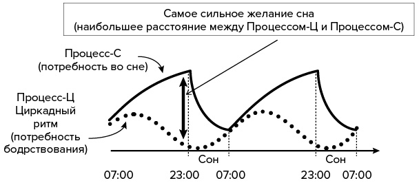 Иллюстрация к книге — Зачем мы спим. Новая наука о сне и сновидениях [img_6.jpg]