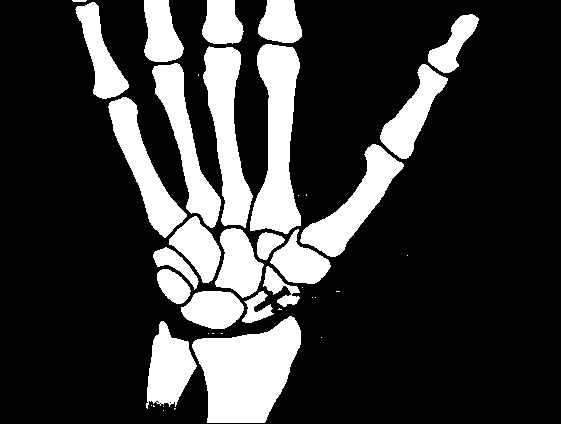 Иллюстрация к книге — Осторожно, спорт! О вреде бега, фитнеса и других физических нагрузок [img_2.jpg]