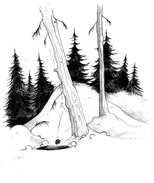 Иллюстрация к книге — Отец Рождество и Я [i_028.jpg]