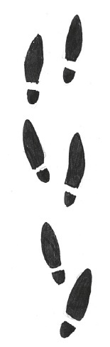 Иллюстрация к книге — Отец Рождество и Я [i_080.jpg]