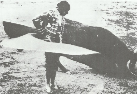 Иллюстрация к книге — Смерть после полудня [i_013.jpg]