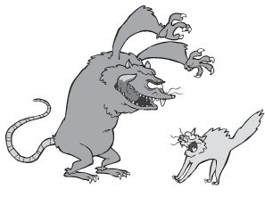 Иллюстрация к книге — Психология навылет. М+Ж. 6 секретов счастливых отношений от самого категоричного психолога в мире [i_004.jpg]