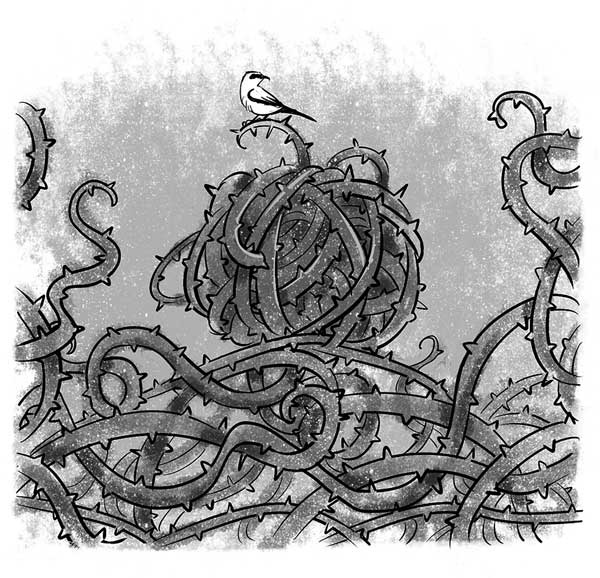 Иллюстрация к книге — Письма на чердак [i_006.jpg]