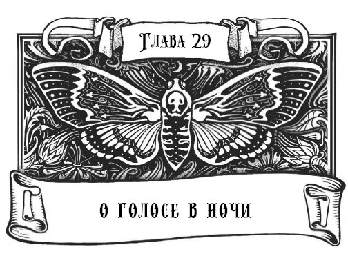 Иллюстрация к книге — Миднайт. 1. Наместник ночи [i_060.jpg]