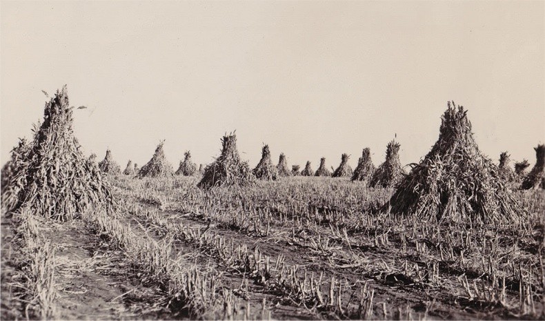 Иллюстрация к книге — Карта дней [i_020.jpg]