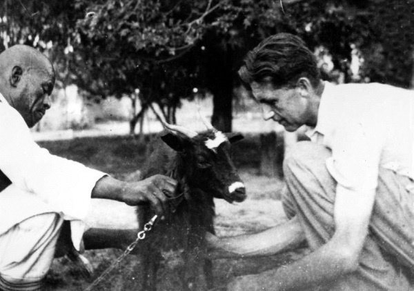 Иллюстрация к книге — Джордж Оруэлл. Неприступная душа [i_024.jpg]