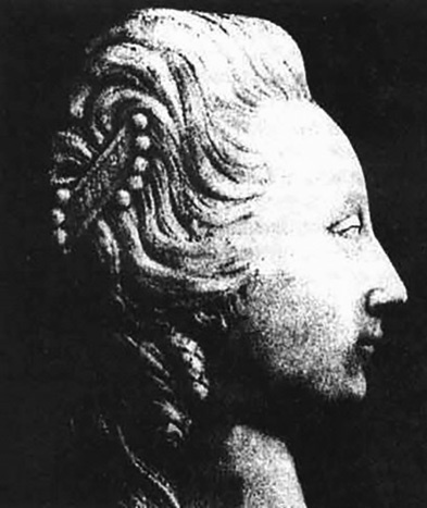 Иллюстрация к книге — Цареубийца. Подлинные мемуары графа Орлова [i_065.jpg]