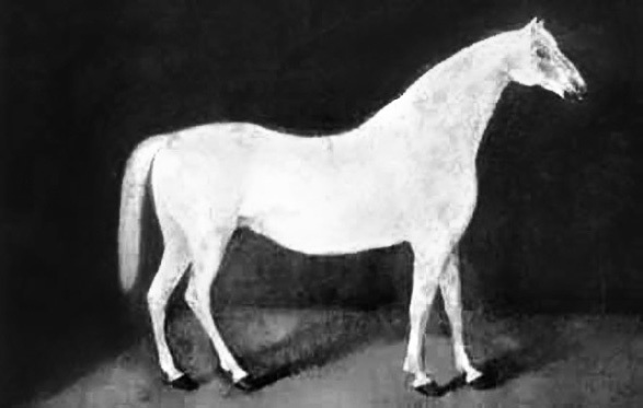 Иллюстрация к книге — Цареубийца. Подлинные мемуары графа Орлова [i_087.jpg]