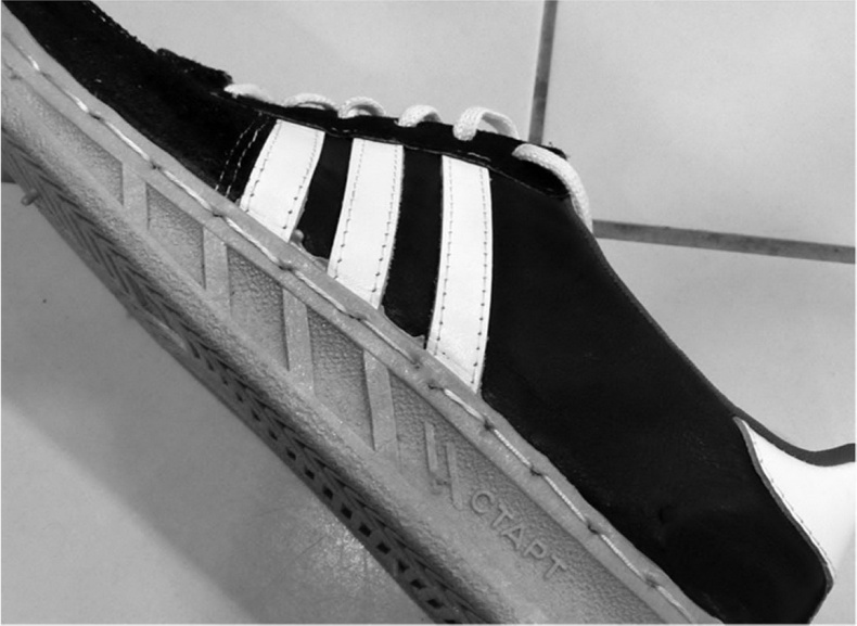 Иллюстрация к книге — Кроссовки. Культурная биография спортивной обуви [i_128.jpg]