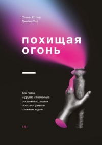 Книга Похищая огонь