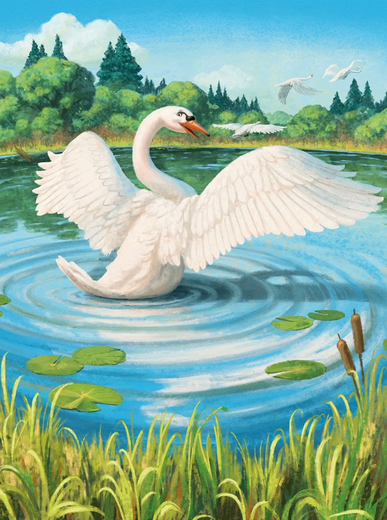 Иллюстрация к книге — Страна сказок. Сборник классических сказок [i_061.jpg]